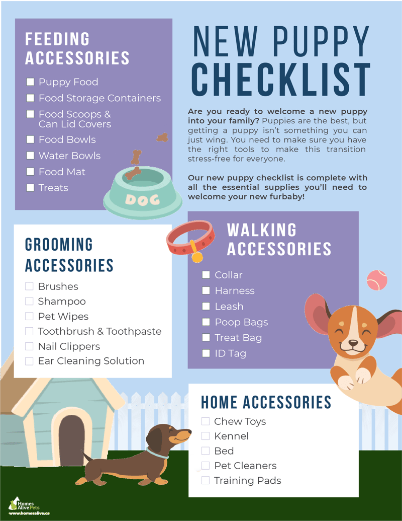 New Puppy Checklist Everything You Need for Your New Puppy